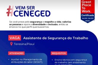 Vaga para Assistente de Segurança do Trabalho