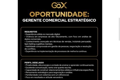 Vaga para Gerente Comercial Estratégico