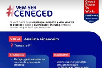 Vaga para Analista Financeiro