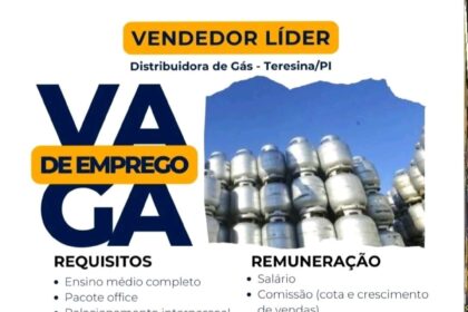 Vaga para Vendedor Líder