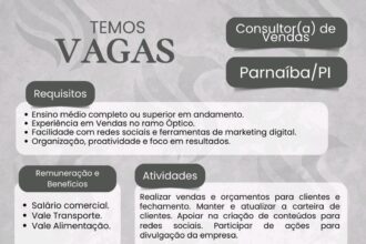 Vaga para Consultor(a) de Vendas em Parnaíba