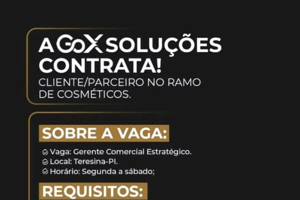 Vaga para Gerente Comercial Estratégico
