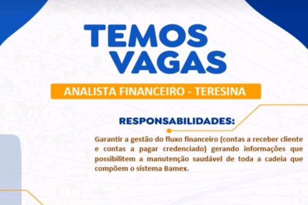 Vaga para Analista Financeiro