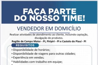 Vaga para Vendedor em Domicílio