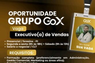 Vaga para Executivo(a) de Vendas