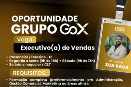 Vaga para Executivo(a) de Vendas