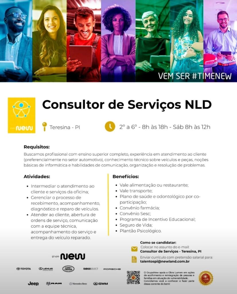 Vaga para Consultor de Serviços NLD