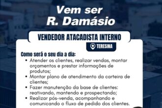 Vaga para Vendedor Atacadista Interno