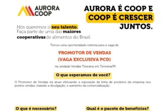 Vaga para Promotor de Vendas (PCD)