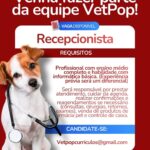 Vaga de emprego para Recepcionista