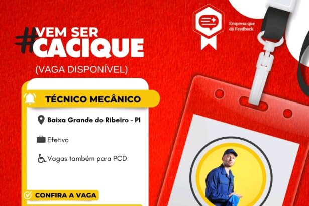 Vaga para Técnico Mecânico em Baixa Grande do Ribeiro