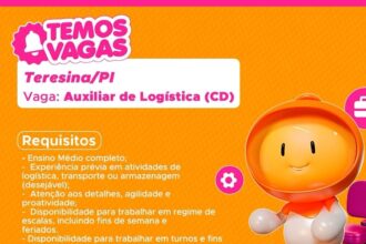 Vaga de emprego para Auxiliar de Logística (CD)