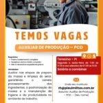 Vaga de emprego para Auxiliar de Produção (PCD)