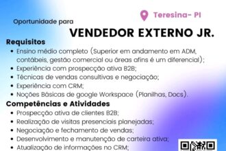 Vaga de emprego para Vendedor Externo Jr