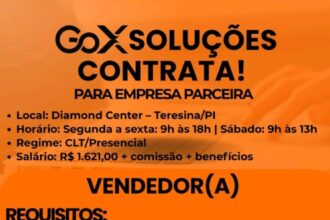 Vaga de emprego para Vendedor(a)