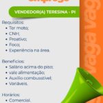Vaga de emprego para Vendedor(a)