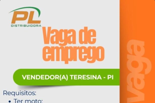 Vaga de emprego para Vendedor(a)