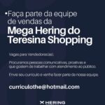 Vagas de emprego para Vendedores