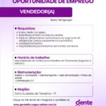Vaga de emprego para Vendedor(a)