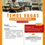 Vaga de emprego para Auxiliar de Produção (PCD)