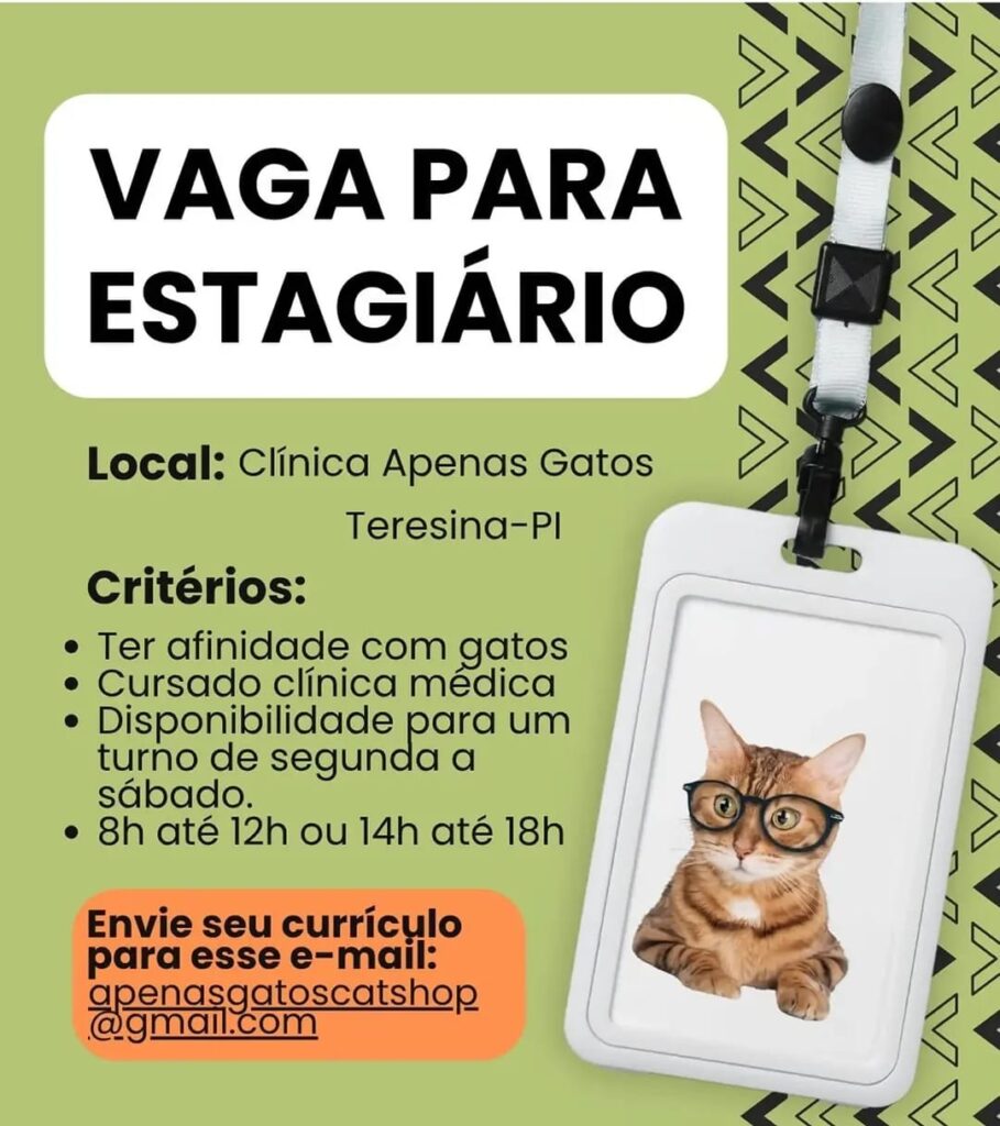 Vaga de emprego para Estagiário