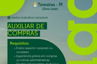 Vaga de emprego para Auxiliar de Compras em Teresina